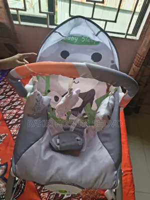 Multifunctional Bouncer