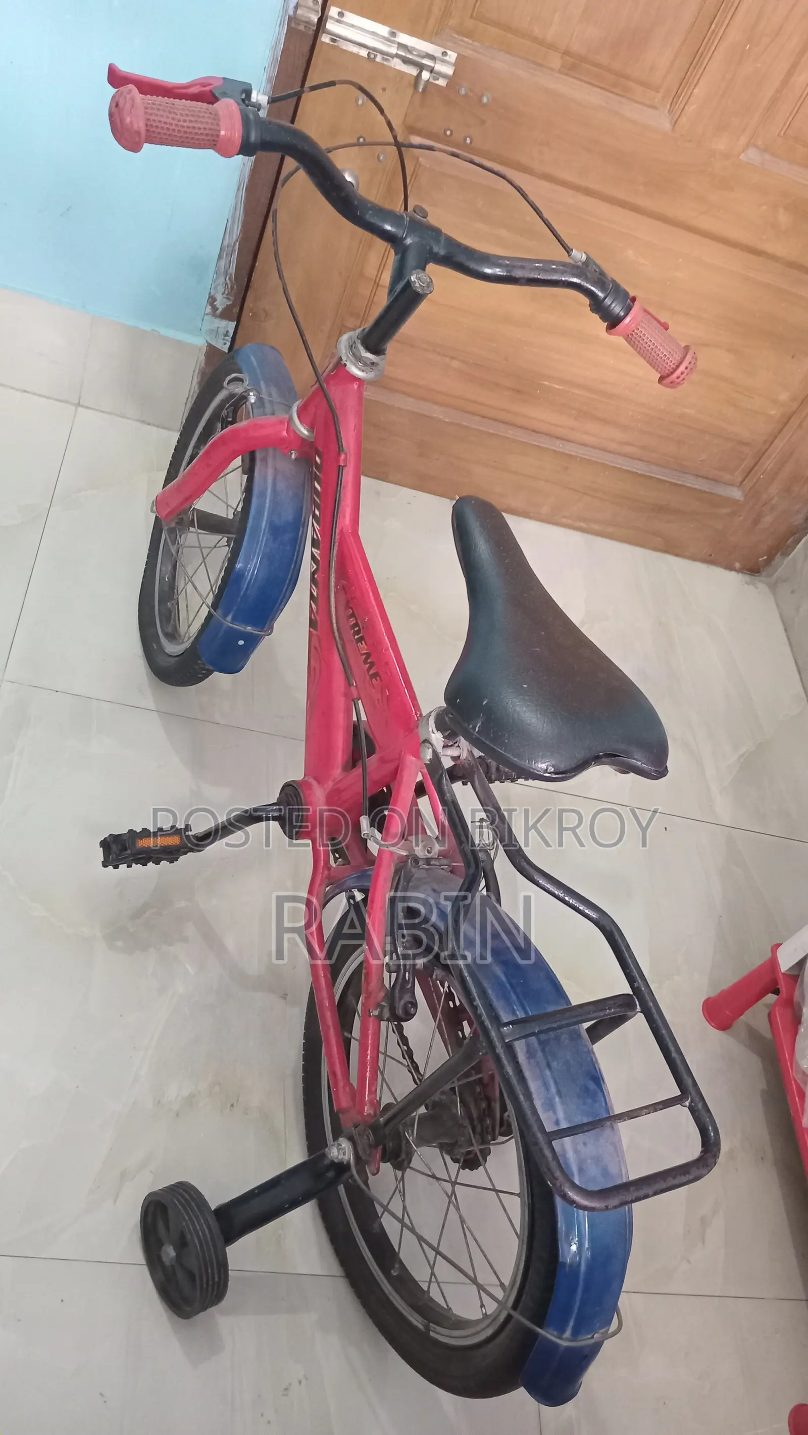 দুরন্ত বাইসাইকেল