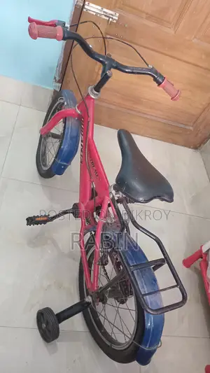দুরন্ত বাইসাইকেল