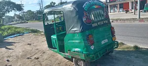 TVS Zeppelin 220 2017 Green