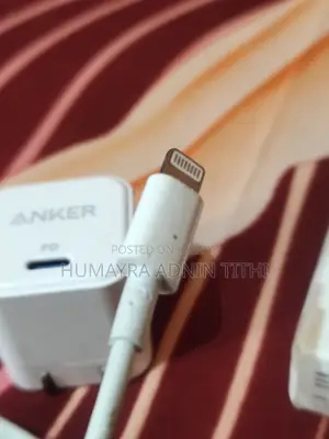 Apple Original Charger Anker