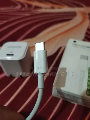 Apple Original Charger Anker