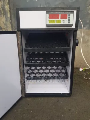 Eggs Incubator Full Automatic