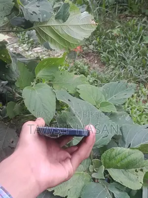 অ্যাপল আইফোন ১৩ ১২৮ জিবি কালো