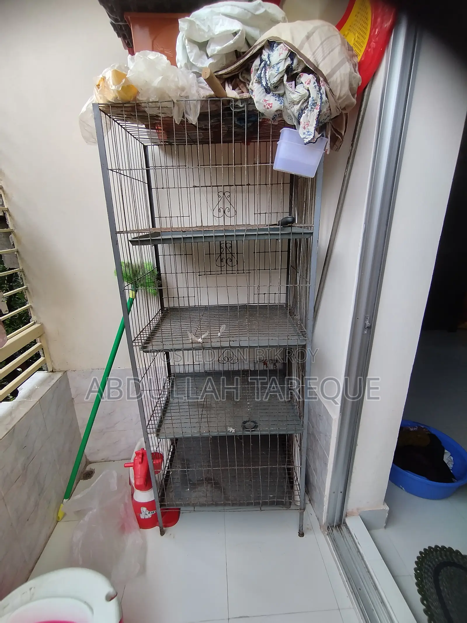 Pigeon Cage