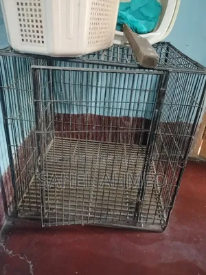 পাখির খাচা