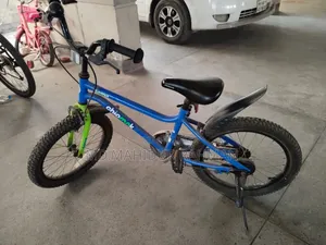 RoyalBaby Chipmunk Summer Kids Bicycle - Great Condition