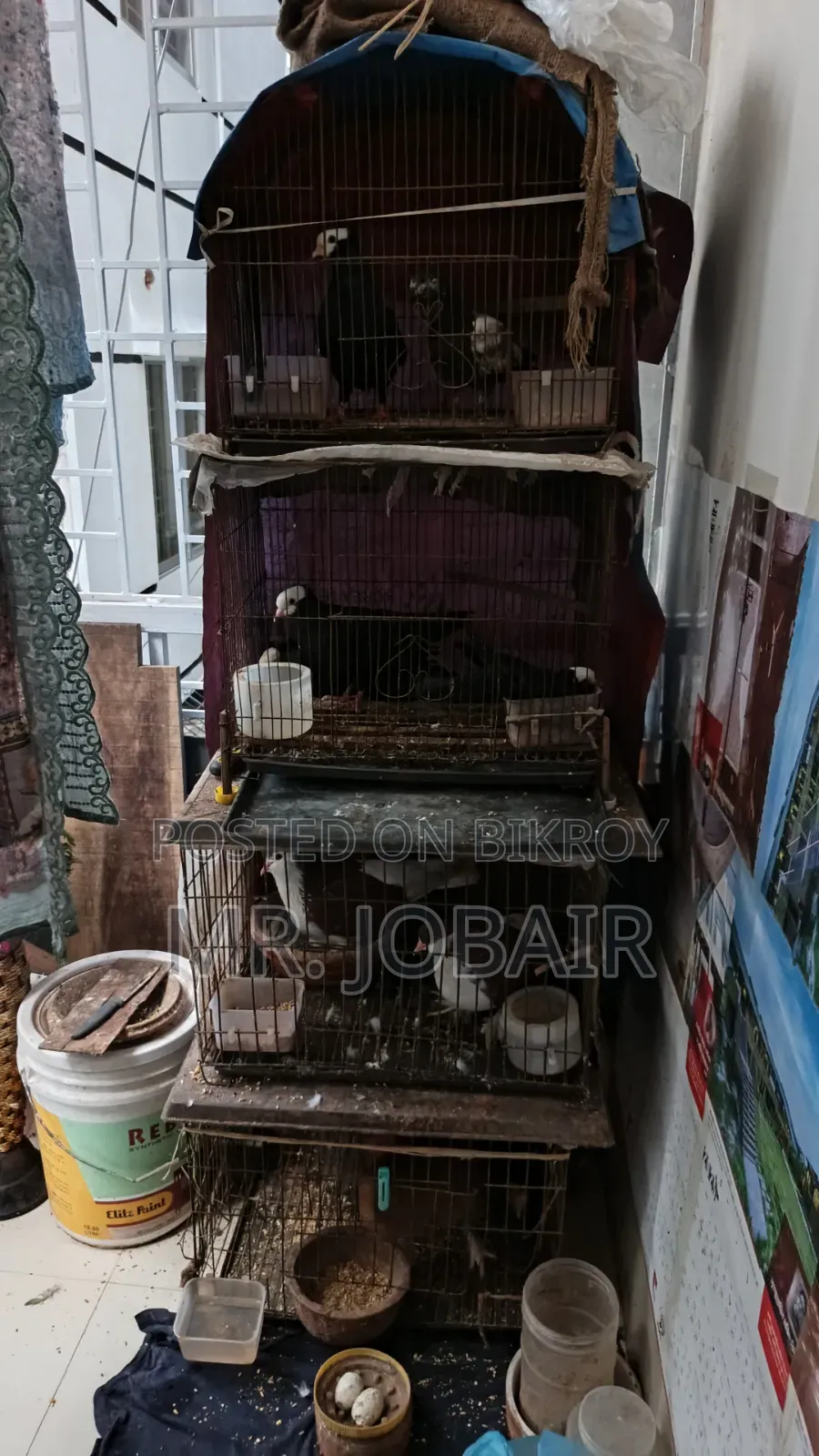 Single cages for pigeons, birds and chickens for sale