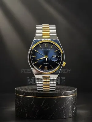 Citizen Quartz Men’s Watch – Silver Gold | Blue Dial