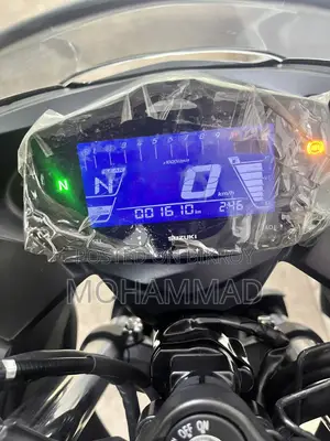 New Suzuki Gixxer SF 250 2026 Gray