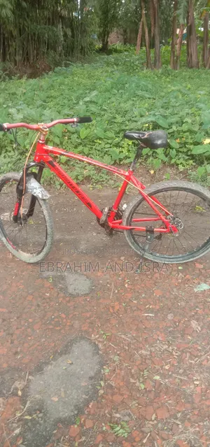 Emergency Sale: Seventy One 2.0 Cycle