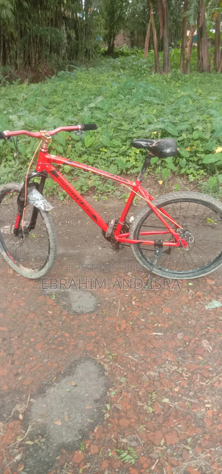 Emergency Sale: Seventy One 2.0 Cycle