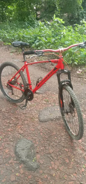 Emergency Sale: Seventy One 2.0 Cycle