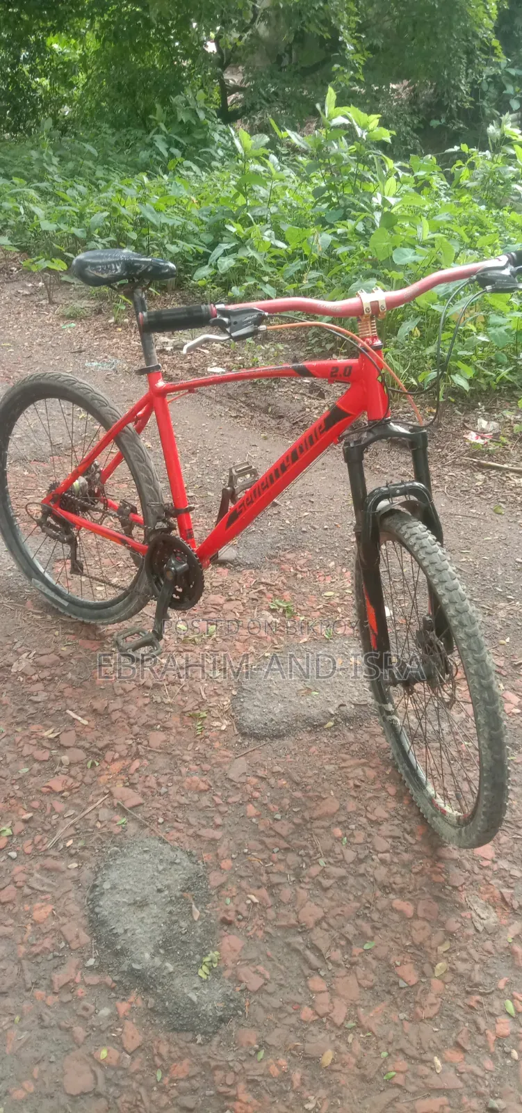 Emergency Sale: Seventy One 2.0 Cycle