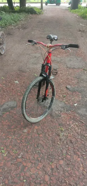Emergency Sale: Seventy One 2.0 Cycle