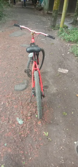 Emergency Sale: Seventy One 2.0 Cycle