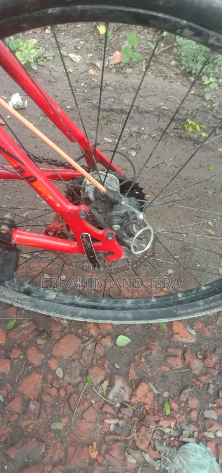 Emergency Sale: Seventy One 2.0 Cycle