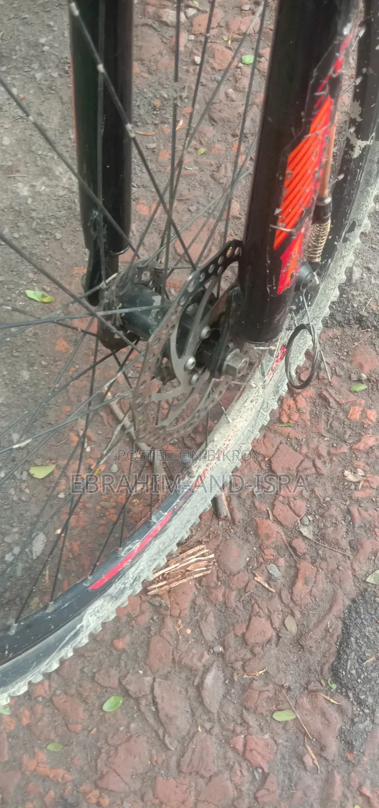 Emergency Sale: Seventy One 2.0 Cycle
