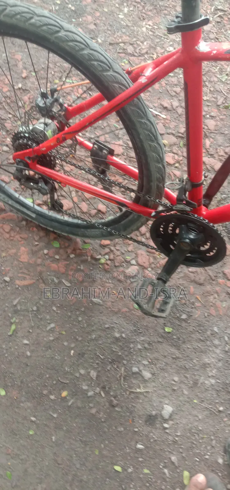 Emergency Sale: Seventy One 2.0 Cycle