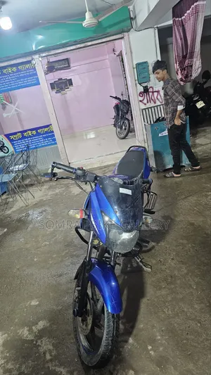 Bajaj Pulsar 150 2013 Gray