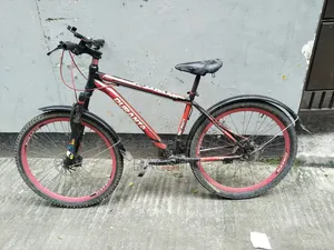 Non-Gear Bicycle