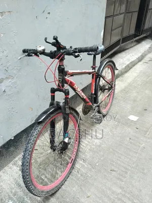 Non-Gear Bicycle