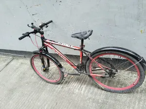 Non-Gear Bicycle