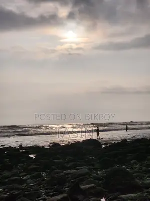 খন্ডকালীন সপ্তাহের ছুটির দিনের জীবনবৃত্তান্ত