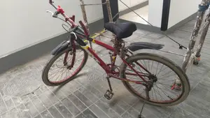 Bicycle 24 Inches