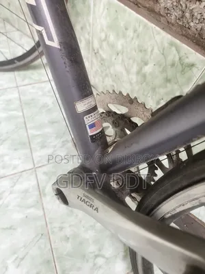 Giant TCR Two Racing Bicycle All Original