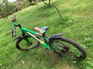 Phonics Bicycle