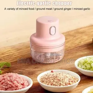 Electric Garlic Machine