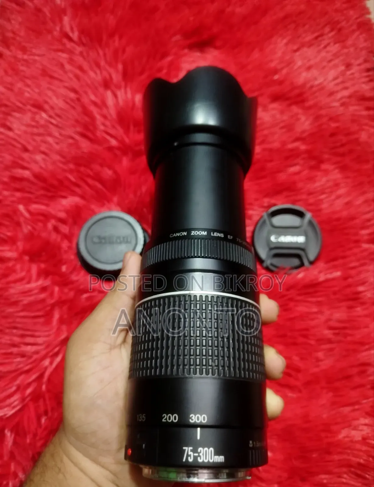 Canon 75-300 Zoom Lens