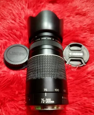 Canon 75-300 Zoom Lens
