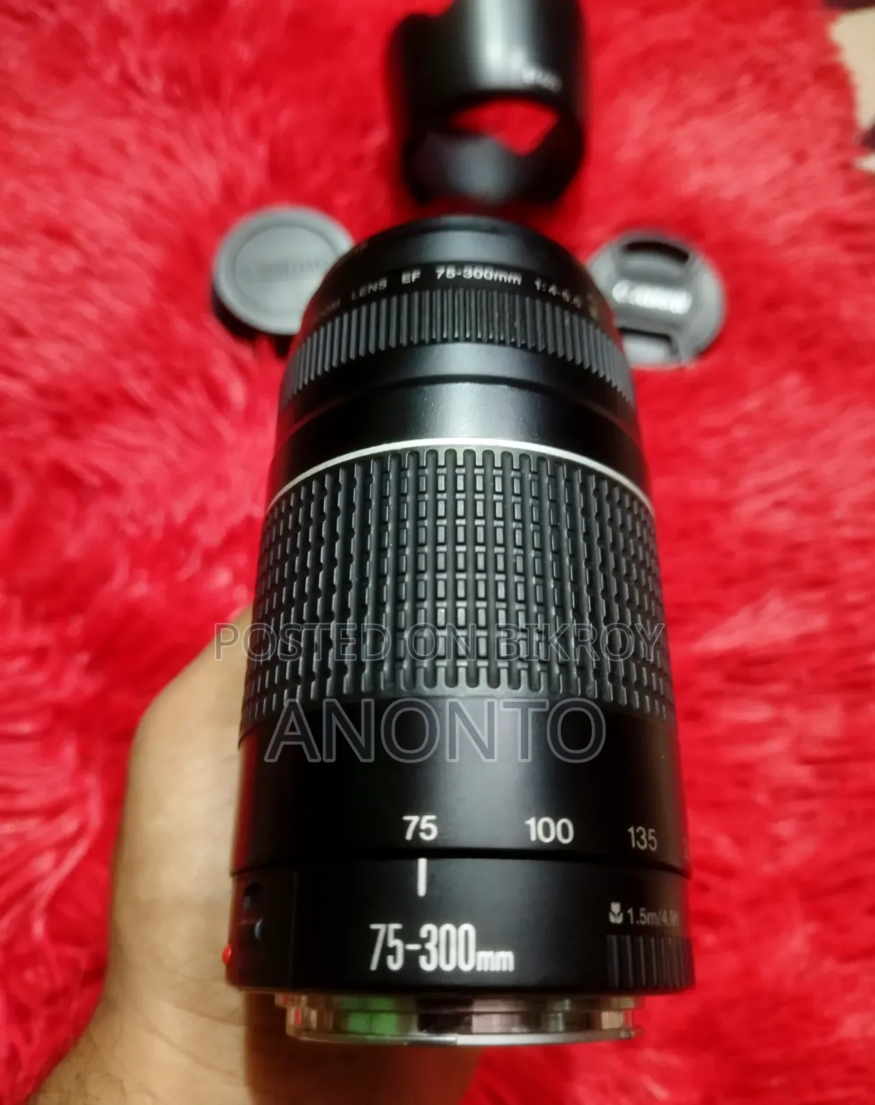 Canon 75-300 Zoom Lens