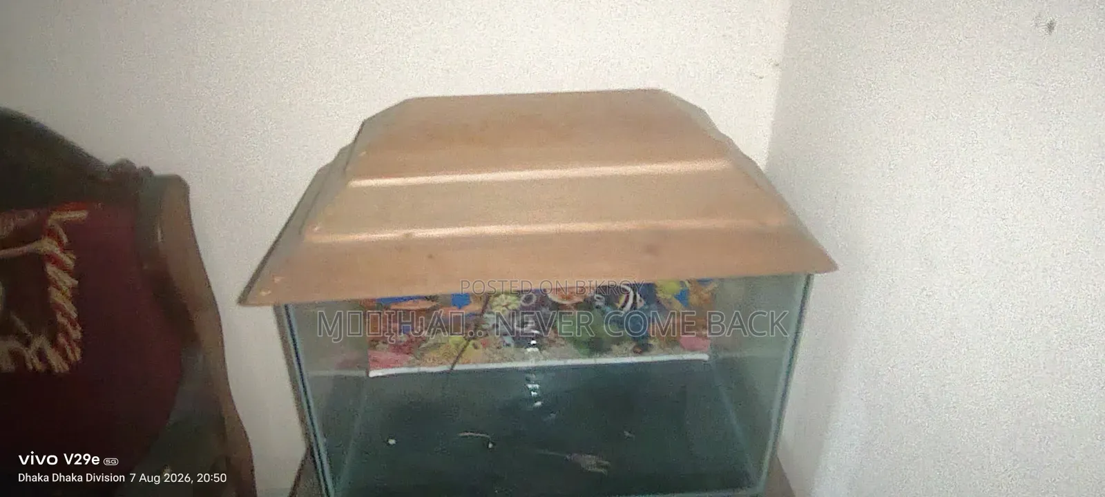 বিক্রির করা জন্য ব্যবহারিত ভালো একুরিয়াম মাত্র ছয় মাস ইউজ করা হয়েছে