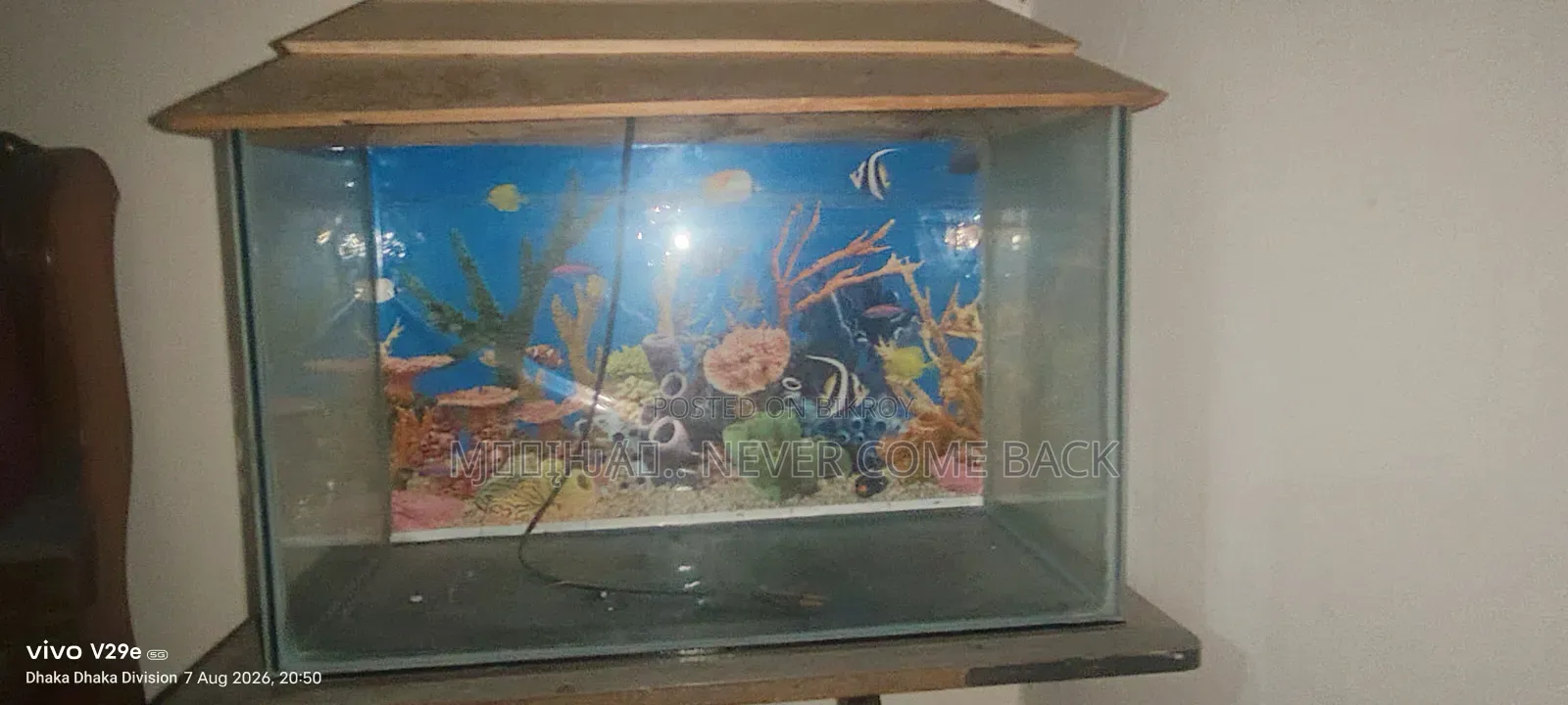 বিক্রির করা জন্য ব্যবহারিত ভালো একুরিয়াম মাত্র ছয় মাস ইউজ করা হয়েছে