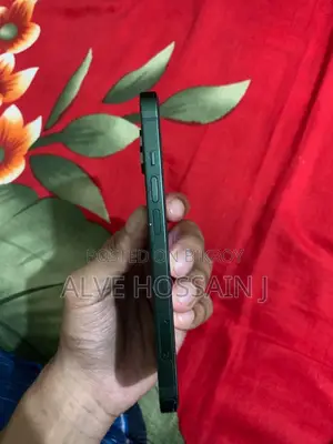 অ্যাপল আইফোন ১৩ ১২৮ জিবি গ্রিন