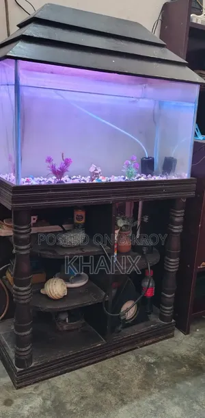 ফিশ একুরিয়াম