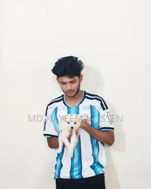 ১-৩ মাস বয়সী স্ত্রী খাঁটি জাপানি স্পিটজ