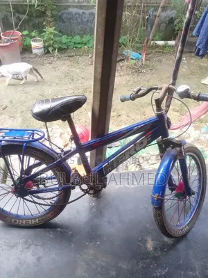 Kids Cycle
