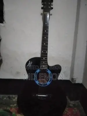 Acoustic Guitar