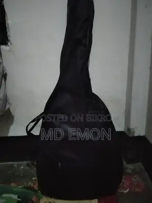 Acoustic Guitar