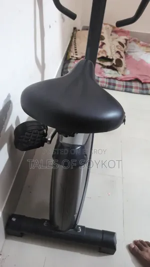 Upright Magnetic Exercise Bike
