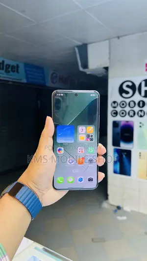 Xiaomi 14 Pro 256 GB