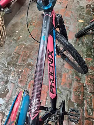 Phoenix Gear Cycle