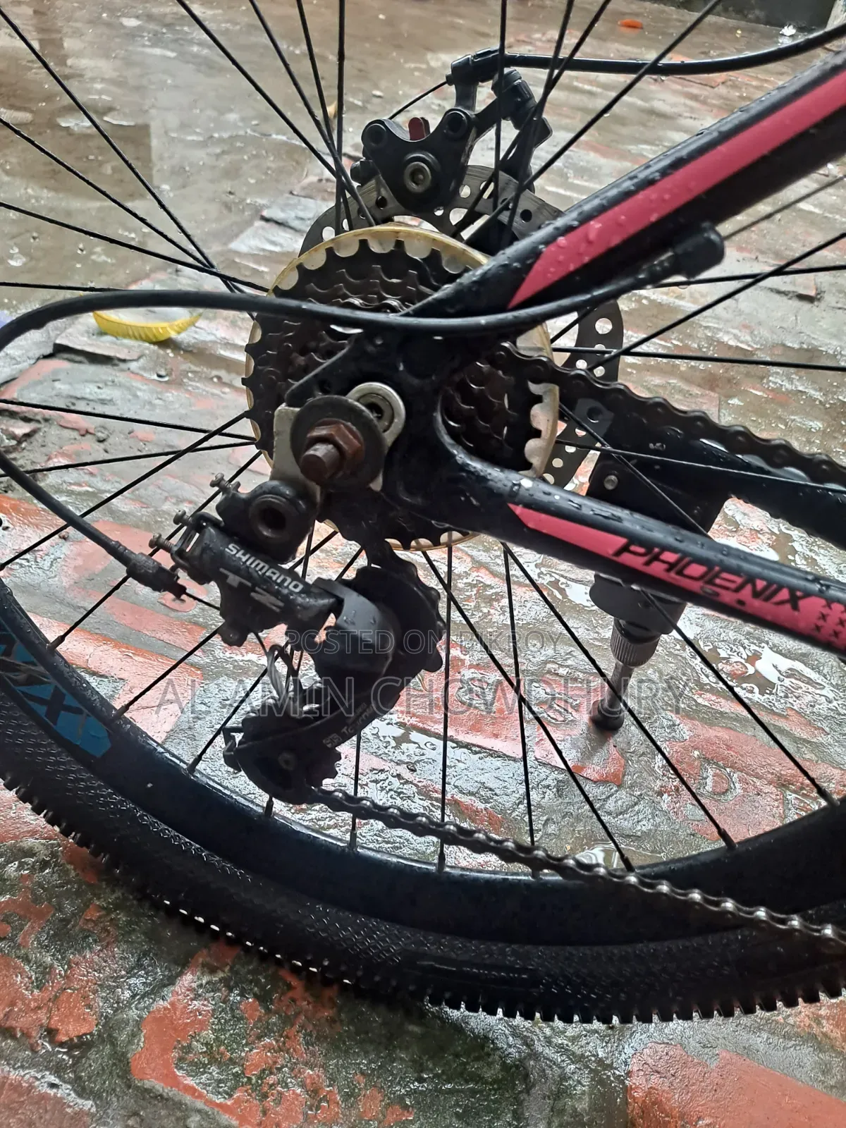 Phoenix Gear Cycle