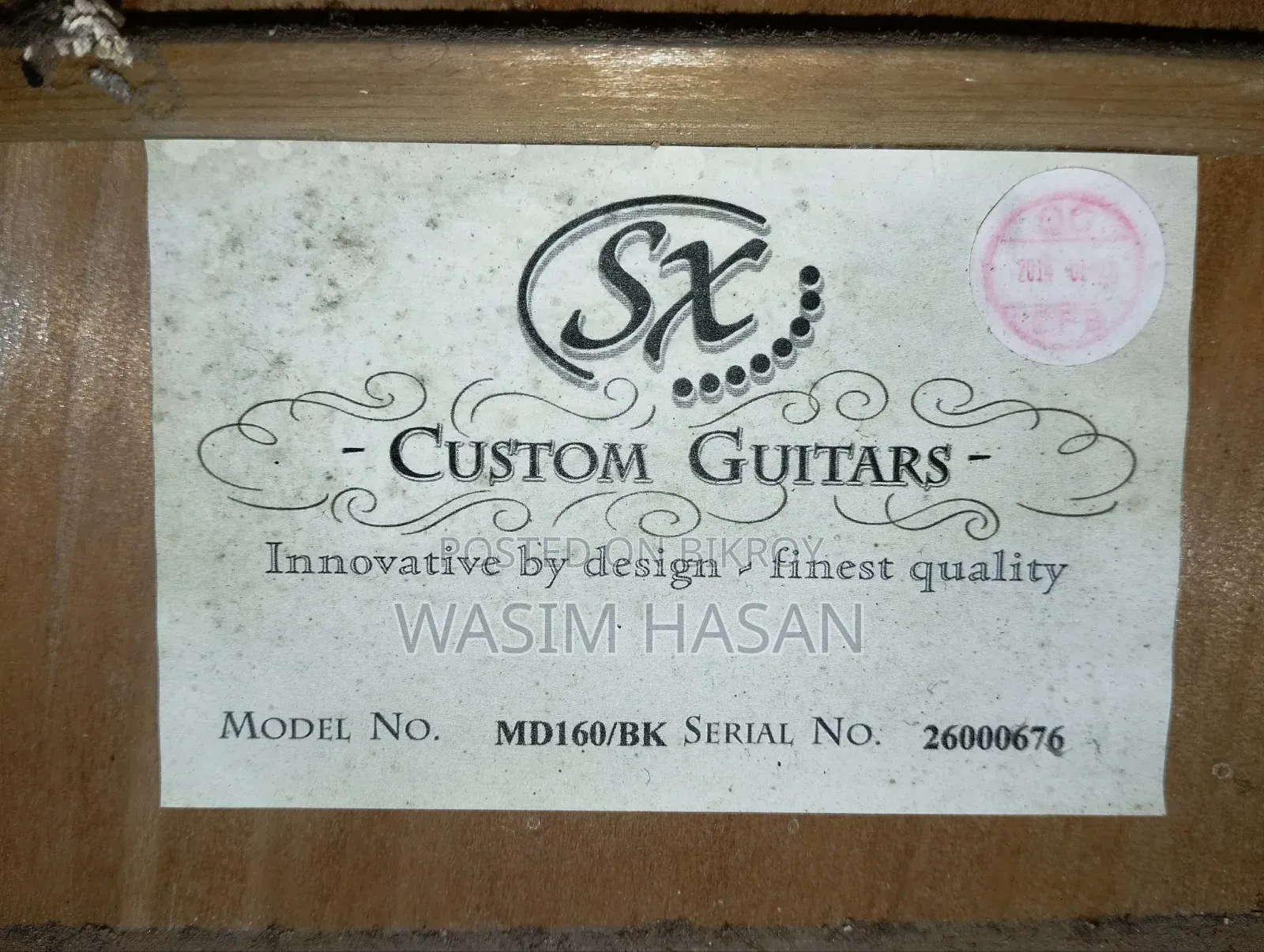 SX Custom Guiter