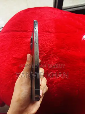 অ্যাপল আইফোন ১৩ প্রো ম্যাক্স ১২৮ জিবি ব্ল্যাক