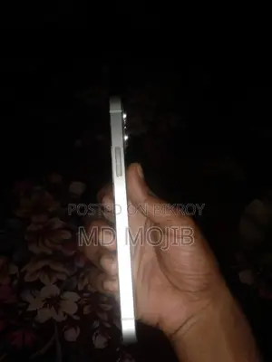 অ্যাপল আইফোন ১২ ২৫৬ জিবি গ্রিন